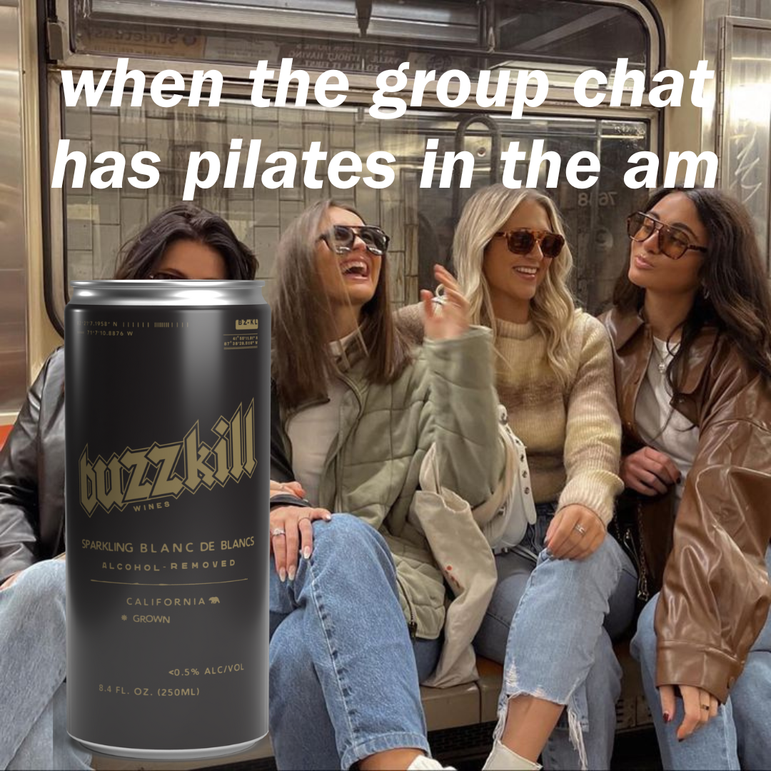 Buzzkill Non-Alcoholic Wine | Low Sugar, Low Calorie, No Hangover - 4-Pack Cans