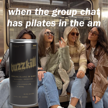 Buzzkill Non-Alcoholic Wine | Low Sugar, Low Calorie, No Hangover - 4-Pack Cans